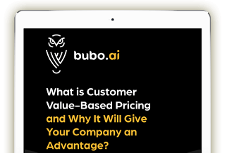 Bubo.AI price optimisation experts company logo owl with eBook title what is customer value based pricing and why it will give your company an advantage